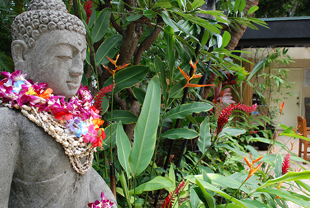 Aqua Bamboo Waikiki