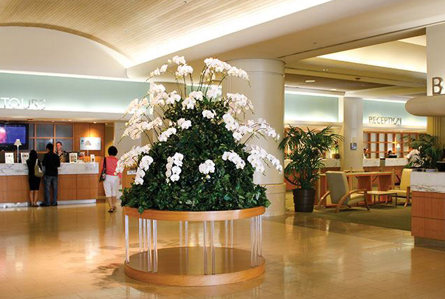 Ala Moana Hotel by Mantra