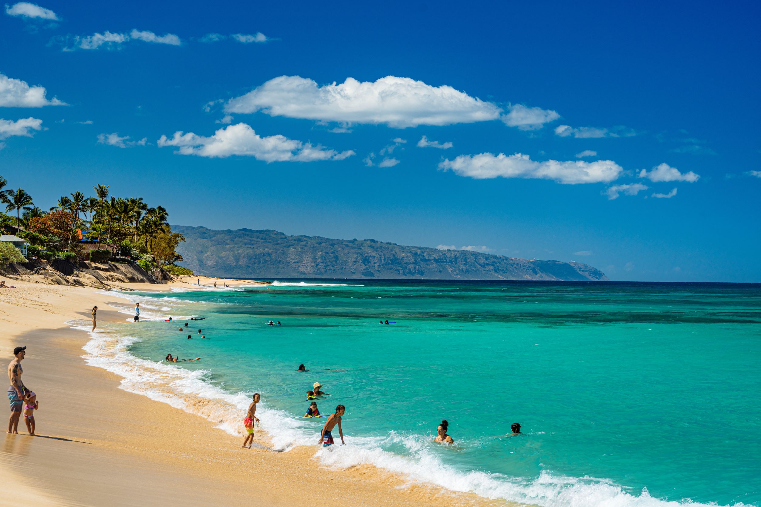 【Private Charters】East Oahu Little Circle Island Tour+ Dole Plantation + Polynesian Culture Center (10 hours）